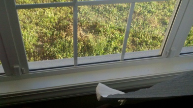 best home security in SC